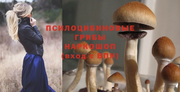 Альфа ПВП Абдулино