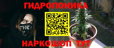 ГАЛЛЮЦИНОГЕННЫЕ ГРИБЫ Балашиха