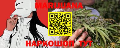 сатива Балаково