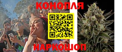 сатива Балаково