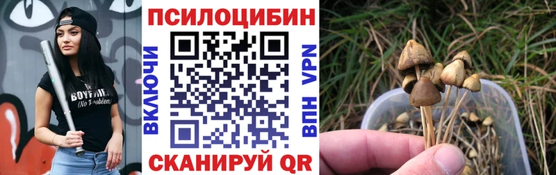 Псилоцибиновые грибы MAGIC MUSHROOMS  ссылка на мегу зеркало  Алейск 