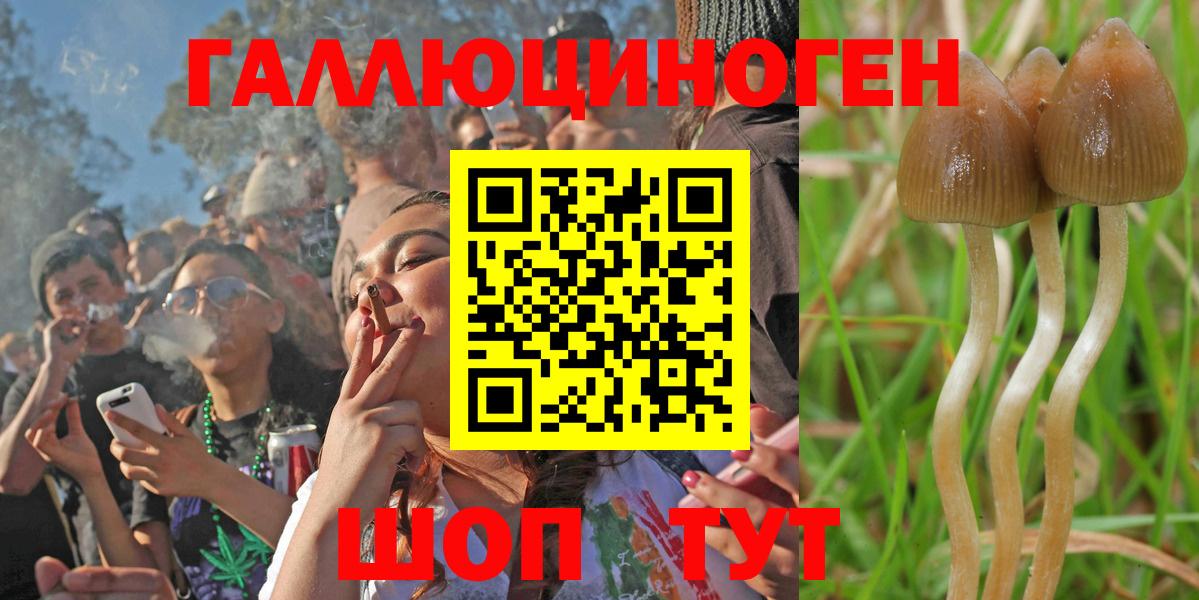 Галлюциногенные грибы Magic Shrooms Алейск