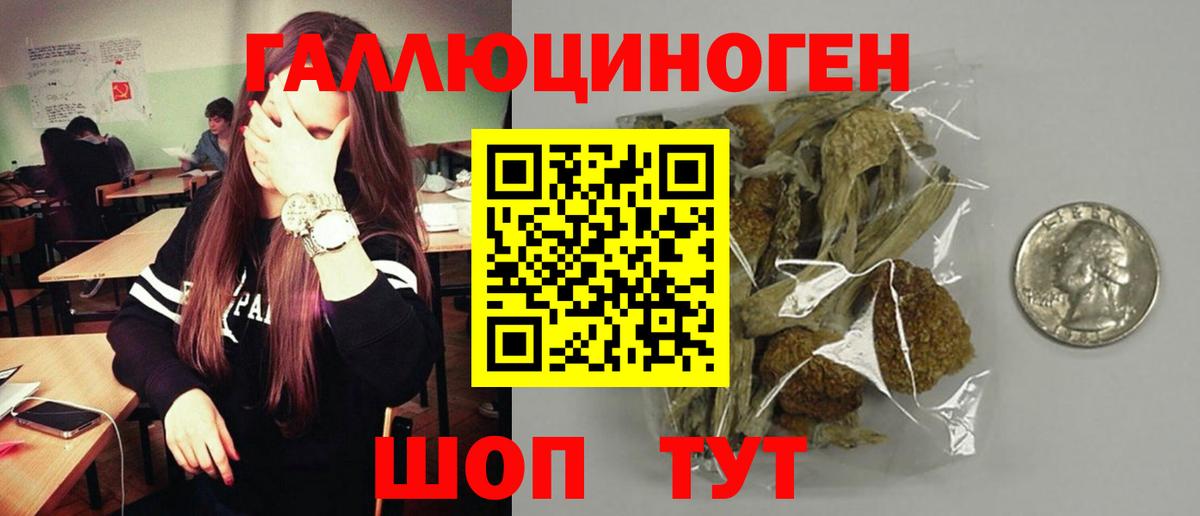 Галлюциногенные грибы мицелий  Вход с VPN  Алейск  Псилоцибиновые грибы ЛСД 